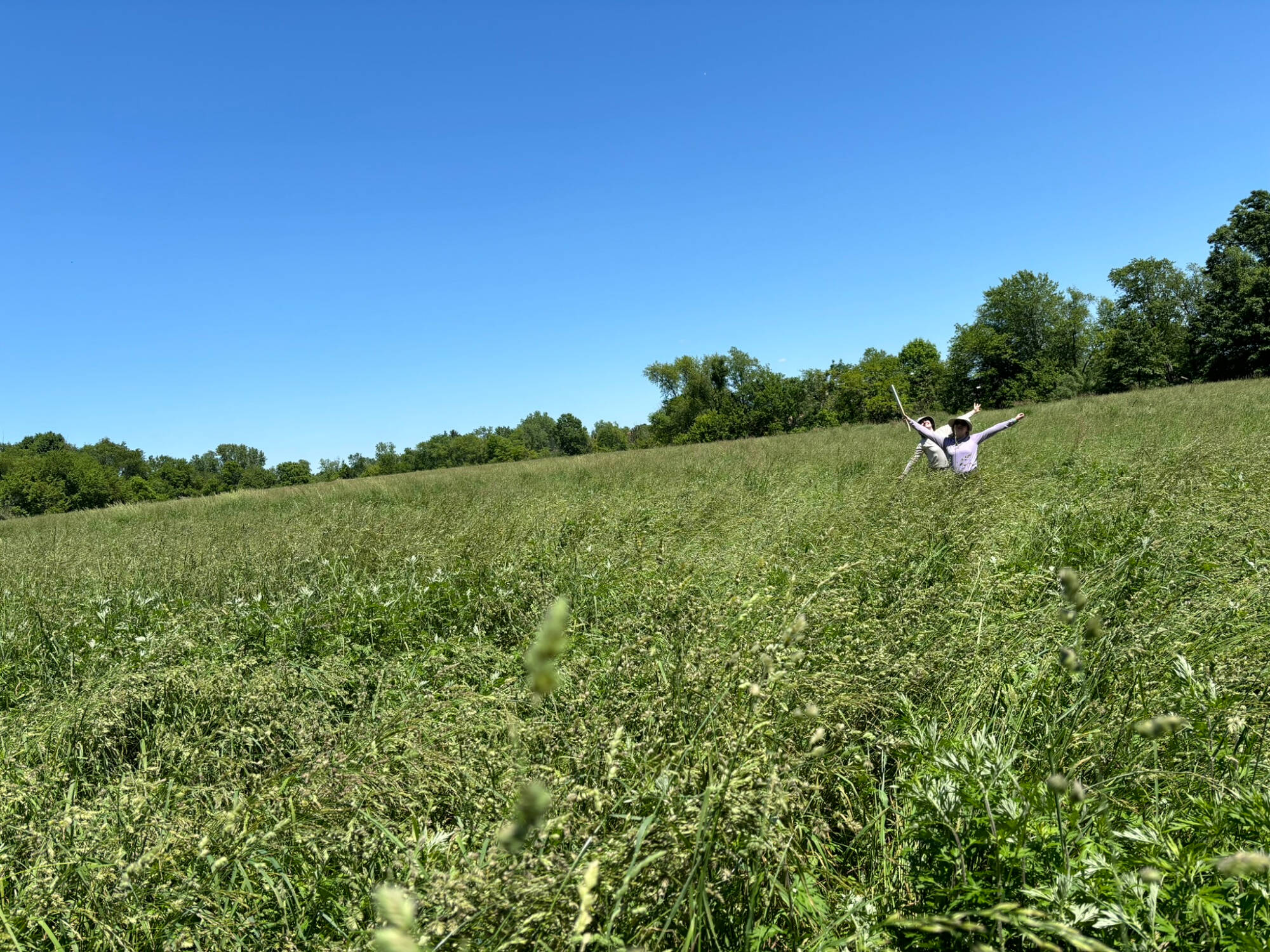 field with people in distance